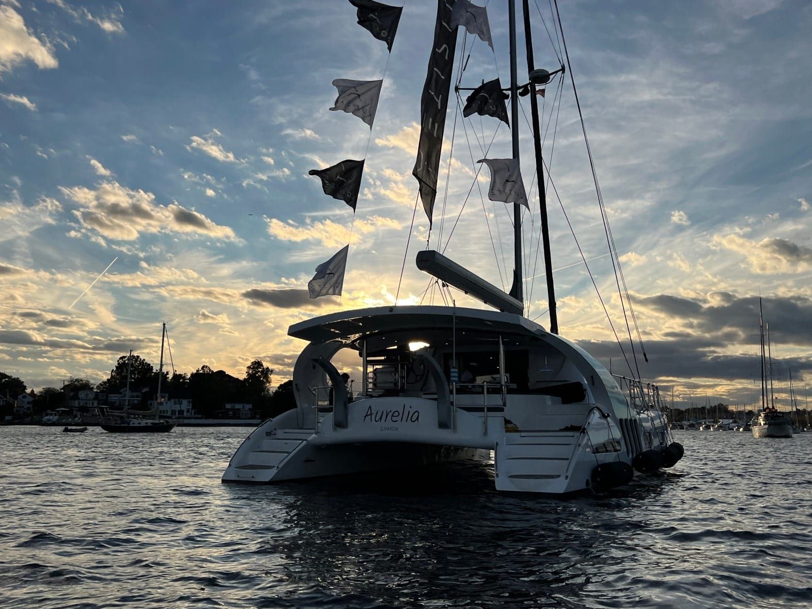 X54' E-PLUS - Exterior